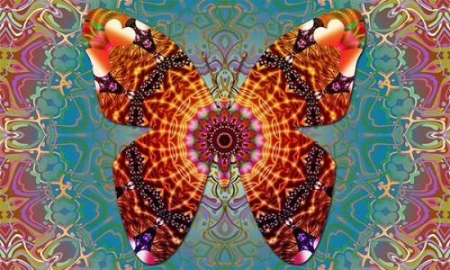 mandalas coloreados de mariposas